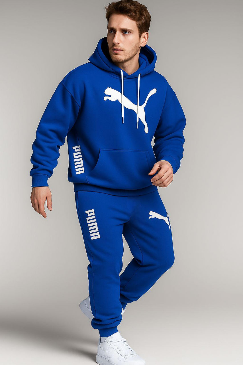 Спортивний костюм Puma